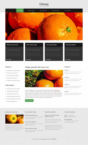 果蔬农产品类英文网站制作模板电脑图片